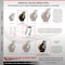 Service Caster 8'' Heavy Duty High Temp Phenolic Caster Set 4 Swivel Locks 2 Brakes, 4PK CRAN-KP92S830-PHRHT-SLB-BSL-2-BSL-2 - alternate 4